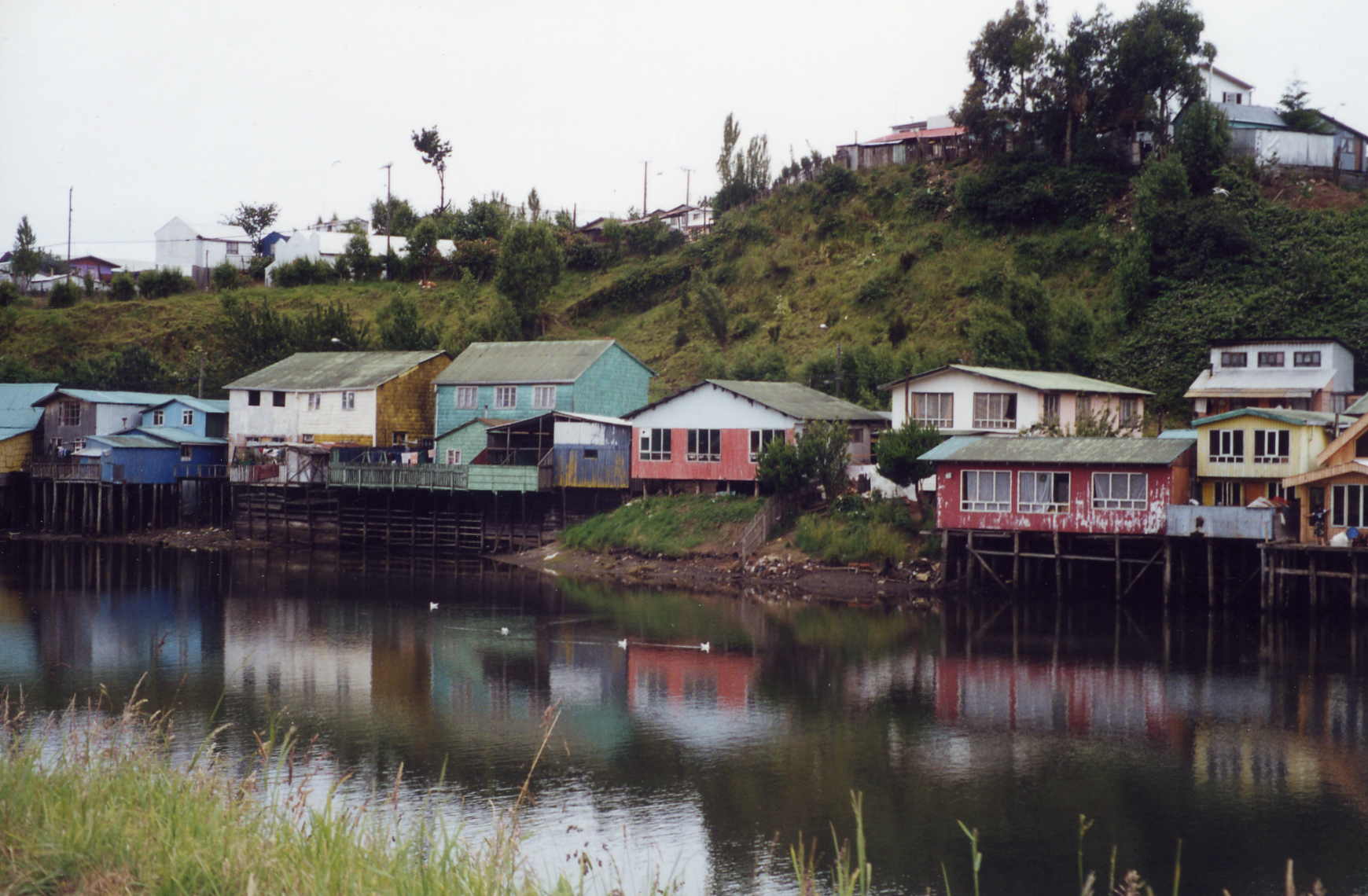 castrochiloe2.jpg
